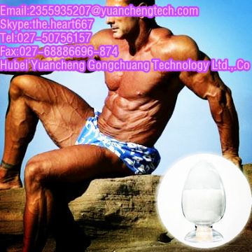 Testosterone Sustanon (Steroids)     